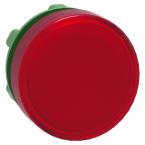  TETE VOYANT LUMINEUX 