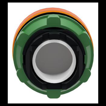  TETE VOYANT LUMINEUX 