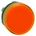  TETE VOYANT LUMINEUX 