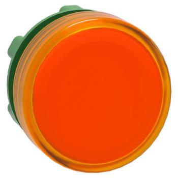  TETE VOYANT LUMINEUX 