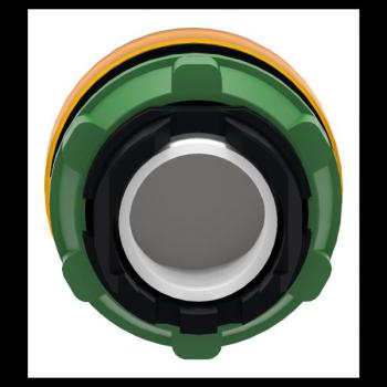  TETE VOYANT LUMINEUX 