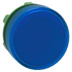  TETE VOYANT LUMINEUX 