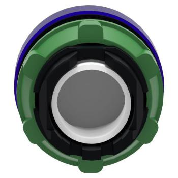  TETE VOYANT LUMINEUX 