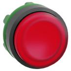  TETE POUSSOIR-LUMINEUX 