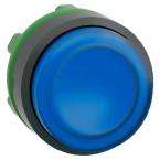  TETE POUSSOIR-LUMINEUX 