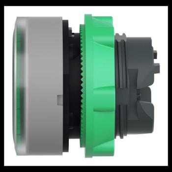  t�te BP lumineux O22 vert 