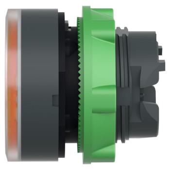  TETE POUSSOIR-LUMINEUX 