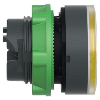  T�te B P lumin DEL aff L O22 J 