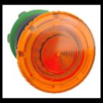  COUP DE POIN LUMINEUX 