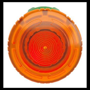  COUP DE POIN LUMINEUX 