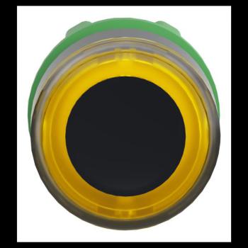  T�te B P lumin DEL aff A O22 J 