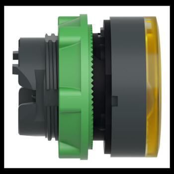  T�te B P lumin DEL aff A O22 J 