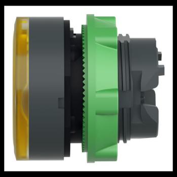  T�te B P lumin DEL aff A O22 J 