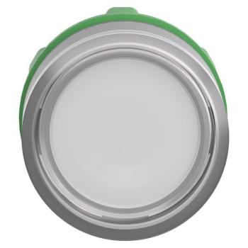  T�te BP lumineux personnalis�e 