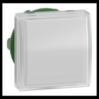  TETE VOYANT LUMINEUX 