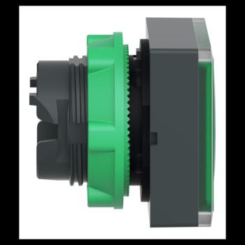  TETE POUSSOIR-LUMINEUX 