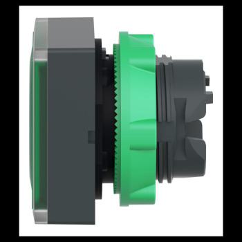  TETE POUSSOIR-LUMINEUX 