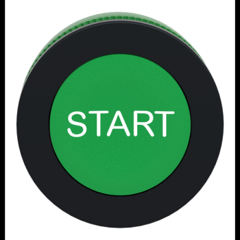  tte BP flush marqu vert 