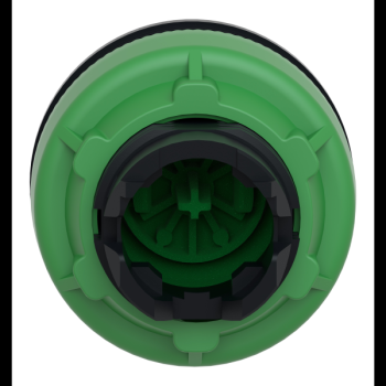  tte BP flush marqu vert 
