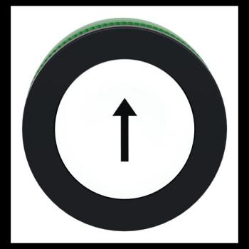  t�te BP flush marqu� blanc 