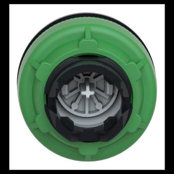  t�te BP flush marqu� blanc 