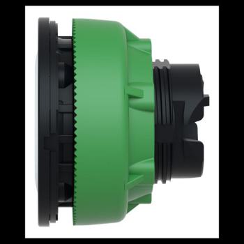  t�te BP flush marqu� blanc 