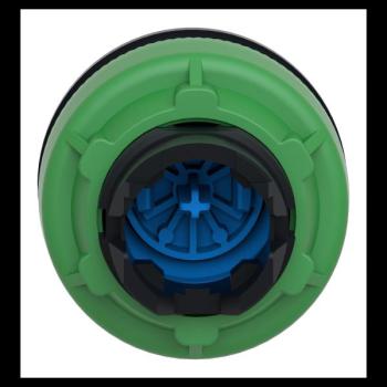  TETE ENCASTREE BOUTON POU 