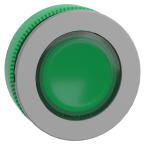  t�te BP pouss lum flush vert 