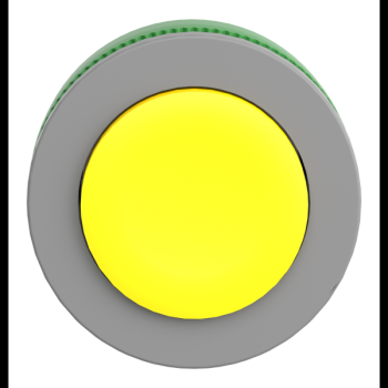  tte BP flush dpass jaune 