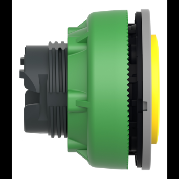  tte BP flush dpass jaune 