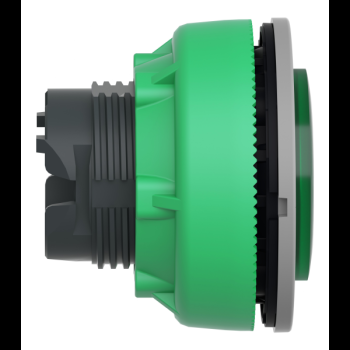  tte BP lum flush dpas vert 