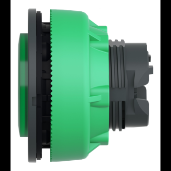  tte BP lum flush dpas vert 