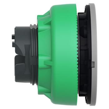  t�te BP lumineux O22 vert 