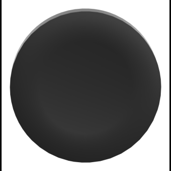  CAPSULE LISSE NOIR POUR P 