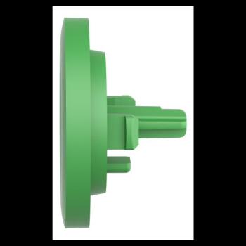  CAPSULE LISSE VERT POUR P 