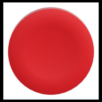  CAPSULE LISSE ROUGE POUR 